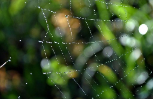 Некоторые ментальные ловушки и их решения .